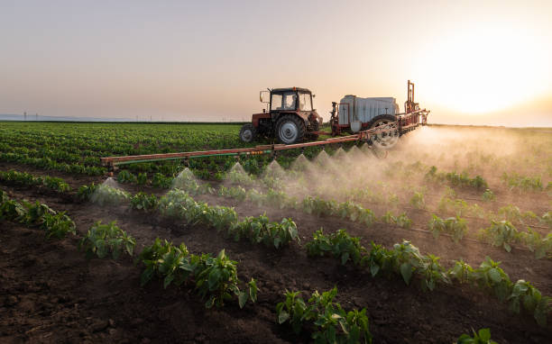 Best Best Pest Control Companies  in Midwest City, OK
