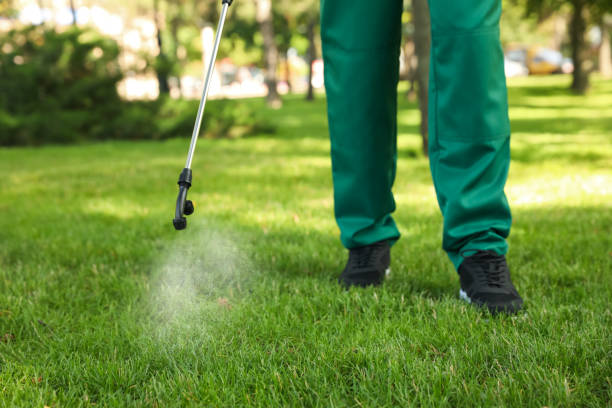 Best Wasp Removal Services  in Midwest City, OK