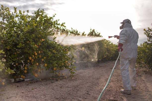 Best Affordable Pest Control Services  in Midwest City, OK