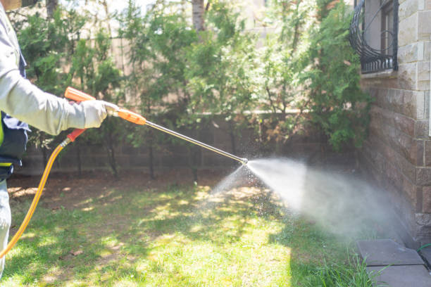 Best Best Pest Control Companies  in Midwest City, OK