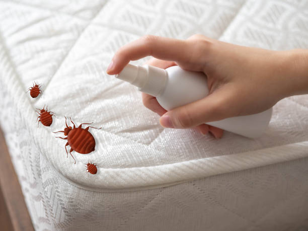 Best Pest Inspection Near Me  in Midwest City, OK