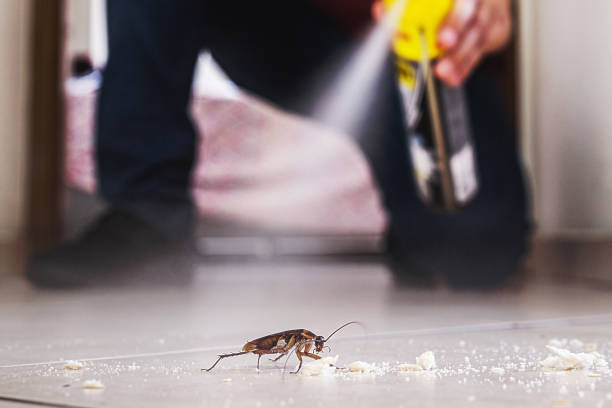 Pest Control Cost in Midwest City, OK