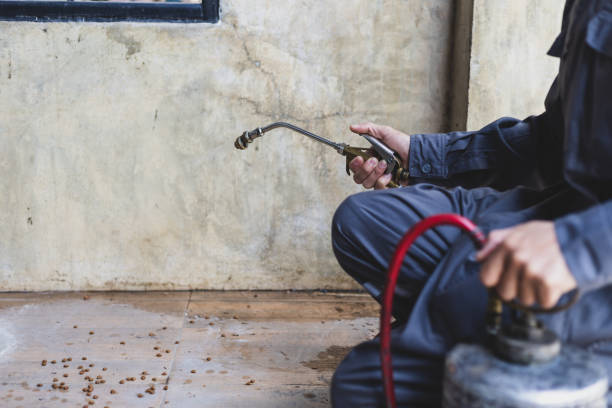 Best Pest Control Cost  in Midwest City, OK